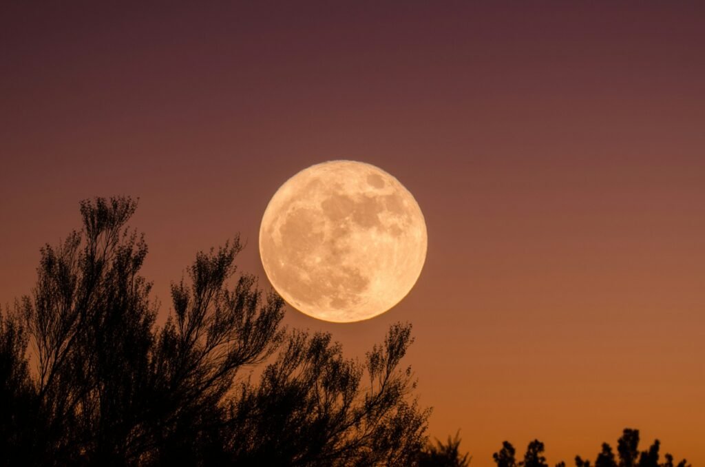 The Magic of the Full Moon: Why It’s So Important
