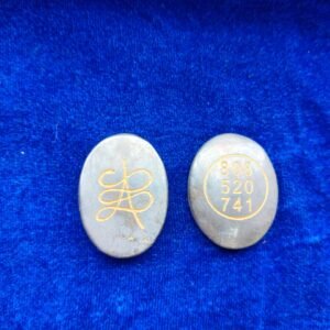 Pyrite Money Magnet Zibu Coin