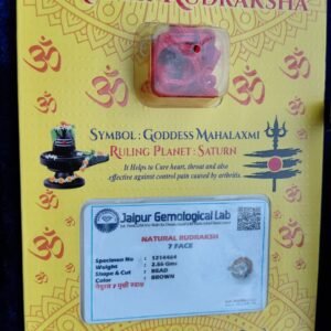7 Mukhi Rudraksh